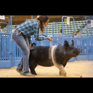 Meet your Posher, Delaney